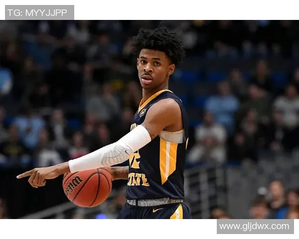 NBA灰熊对阵鹈鹕精彩直播回顾与赛后分析全景呈现